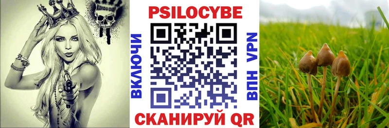 Псилоцибиновые грибы мухоморы  Чердынь 