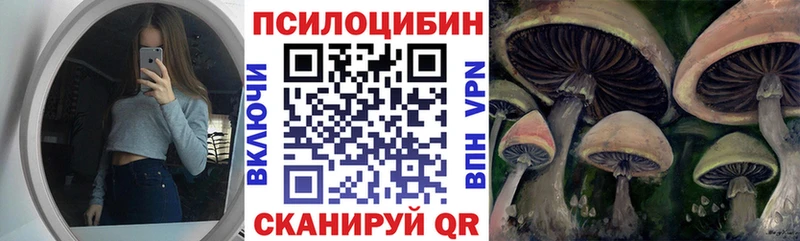Псилоцибиновые грибы Psilocybe Чердынь